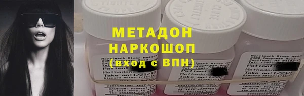 шишки Абаза