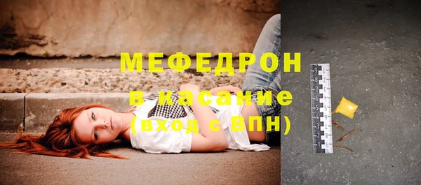 шишки Абаза
