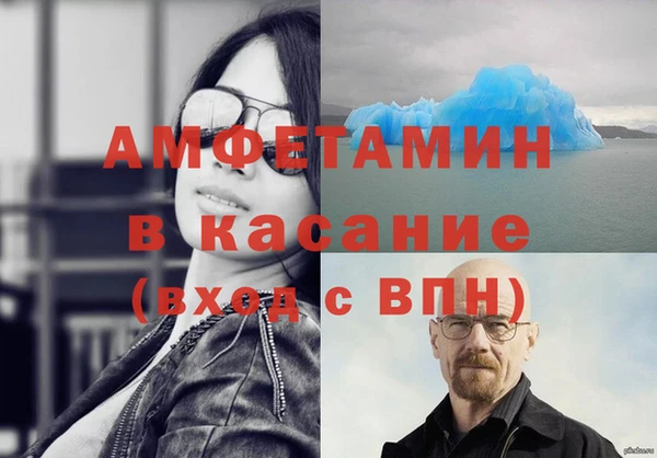 шишки Абаза