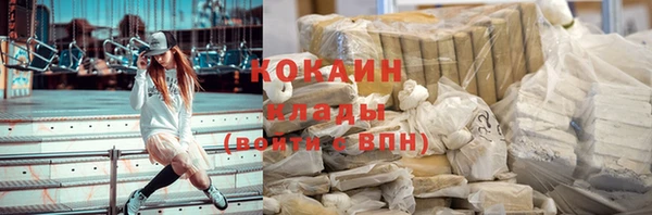 шишки Абаза